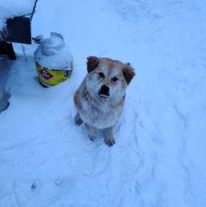 Meet your Posher, Stella